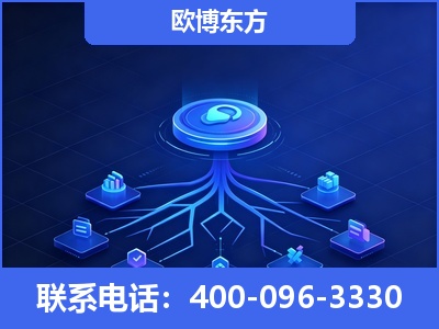 抚远-全链豆包优化